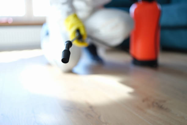 Best Airborne Mold Testing  in Moraga, CA